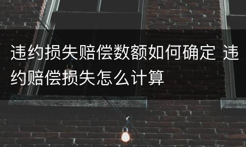 违约损失赔偿数额如何确定 违约赔偿损失怎么计算