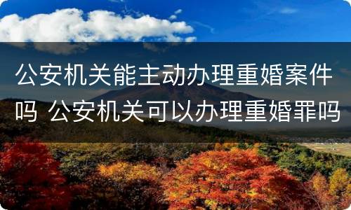 公安机关能主动办理重婚案件吗 公安机关可以办理重婚罪吗