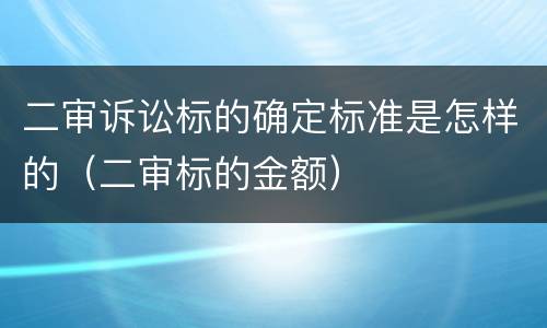 二审诉讼标的确定标准是怎样的（二审标的金额）