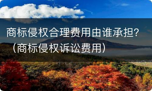 商标侵权合理费用由谁承担？（商标侵权诉讼费用）