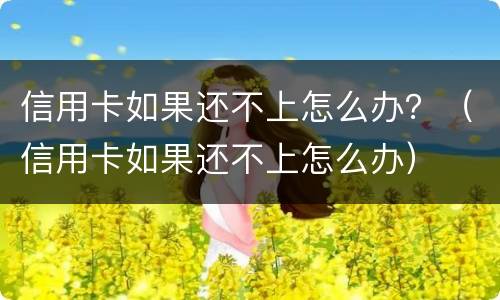 信用卡如果还不上怎么办？（信用卡如果还不上怎么办）