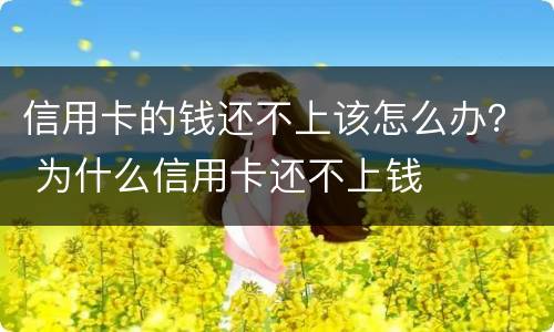 信用卡的钱还不上该怎么办？ 为什么信用卡还不上钱