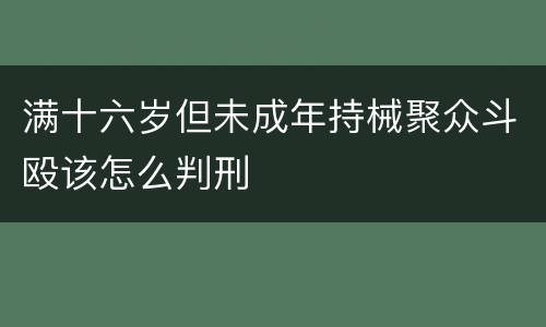 满十六岁但未成年持械聚众斗殴该怎么判刑