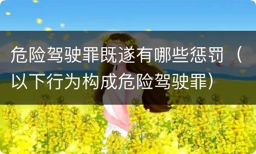 危险驾驶罪既遂有哪些惩罚（以下行为构成危险驾驶罪）