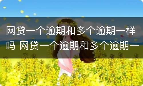 网贷一个逾期和多个逾期一样吗 网贷一个逾期和多个逾期一样吗会怎么样