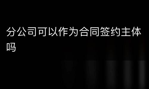分公司可以作为合同签约主体吗