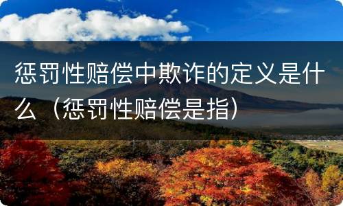 惩罚性赔偿中欺诈的定义是什么（惩罚性赔偿是指）