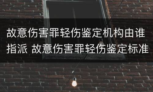 故意伤害罪轻伤鉴定机构由谁指派 故意伤害罪轻伤鉴定标准是什么
