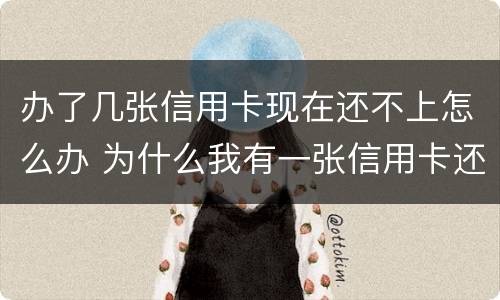 办了几张信用卡现在还不上怎么办 为什么我有一张信用卡还办卡不成功