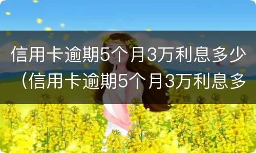 信用卡逾期5个月3万利息多少（信用卡逾期5个月3万利息多少呢）