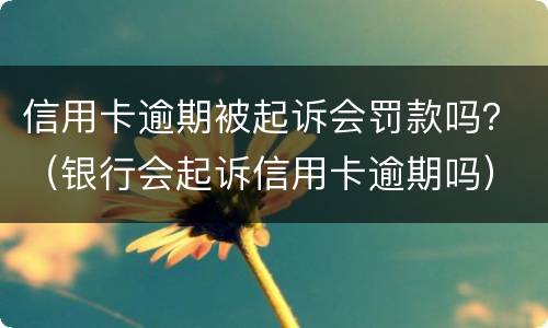 信用卡逾期被起诉会罚款吗？（银行会起诉信用卡逾期吗）