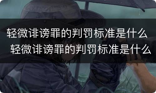 轻微诽谤罪的判罚标准是什么 轻微诽谤罪的判罚标准是什么意思