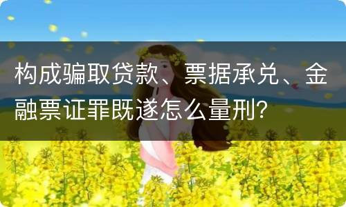 构成骗取贷款、票据承兑、金融票证罪既遂怎么量刑？