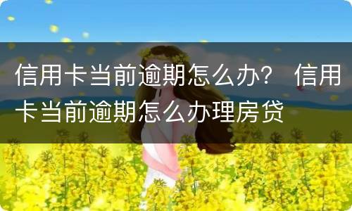 信用卡当前逾期怎么办？ 信用卡当前逾期怎么办理房贷