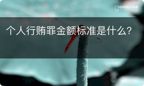 个人行贿罪金额标准是什么？