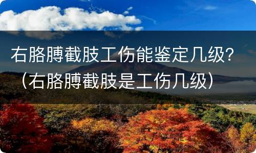 右胳膊截肢工伤能鉴定几级？（右胳膊截肢是工伤几级）