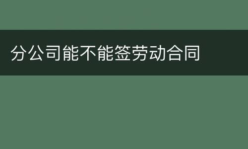 分公司能不能签劳动合同