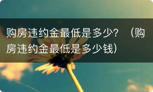 购房违约金最低是多少？（购房违约金最低是多少钱）