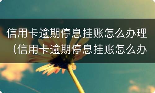 信用卡逾期停息挂账怎么办理（信用卡逾期停息挂账怎么办理的）
