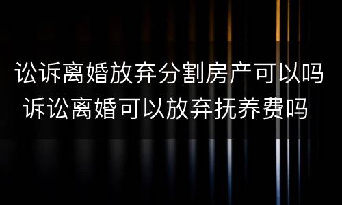 讼诉离婚放弃分割房产可以吗 诉讼离婚可以放弃抚养费吗