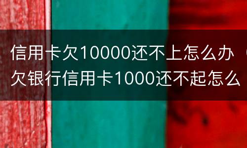 信用卡欠10000还不上怎么办（欠银行信用卡1000还不起怎么办）
