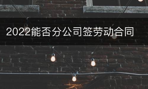2022能否分公司签劳动合同