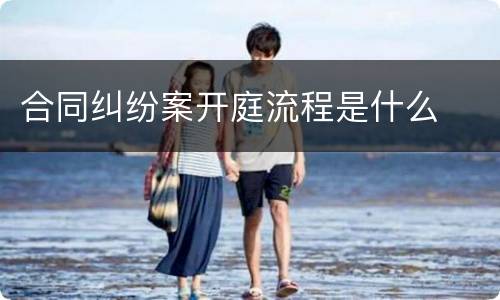 合同纠纷案开庭流程是什么
