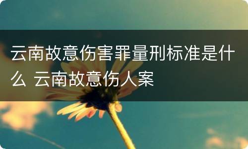 云南故意伤害罪量刑标准是什么 云南故意伤人案
