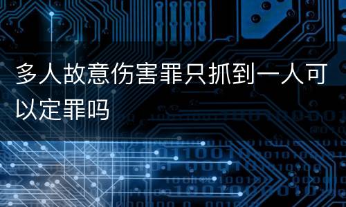 多人故意伤害罪只抓到一人可以定罪吗