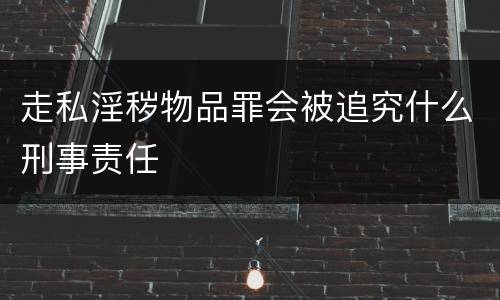 走私淫秽物品罪会被追究什么刑事责任