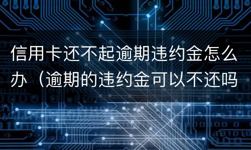 信用卡还不起逾期违约金怎么办（逾期的违约金可以不还吗）