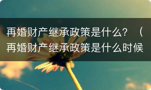 再婚财产继承政策是什么？（再婚财产继承政策是什么时候实施）
