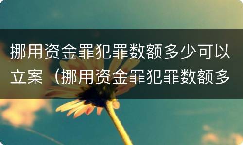 挪用资金罪犯罪数额多少可以立案（挪用资金罪犯罪数额多少可以立案）