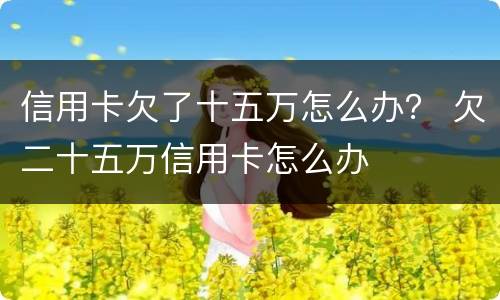 信用卡欠了十五万怎么办？ 欠二十五万信用卡怎么办