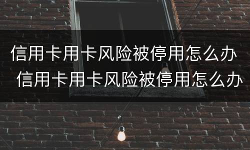 信用卡用卡风险被停用怎么办 信用卡用卡风险被停用怎么办理