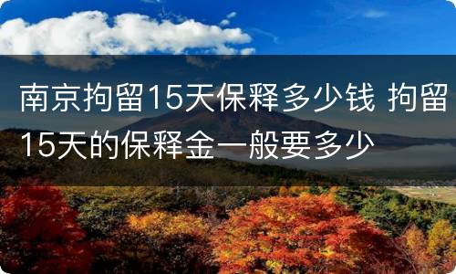 南京拘留15天保释多少钱 拘留15天的保释金一般要多少