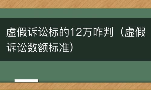 虚假诉讼标的12万咋判（虚假诉讼数额标准）