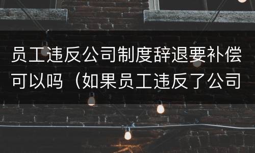 员工违反公司制度辞退要补偿可以吗（如果员工违反了公司的制度,怎么处理）