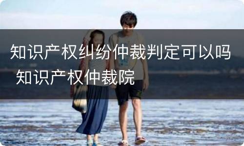 知识产权纠纷仲裁判定可以吗 知识产权仲裁院
