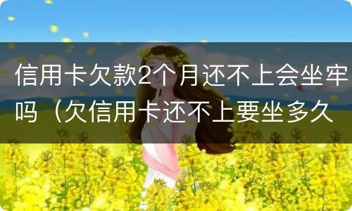信用卡欠款2个月还不上会坐牢吗（欠信用卡还不上要坐多久牢）