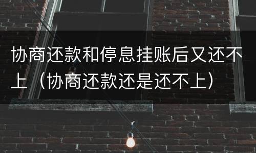协商还款和停息挂账后又还不上（协商还款还是还不上）