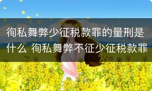 徇私舞弊少征税款罪的量刑是什么 徇私舞弊不征少征税款罪量刑