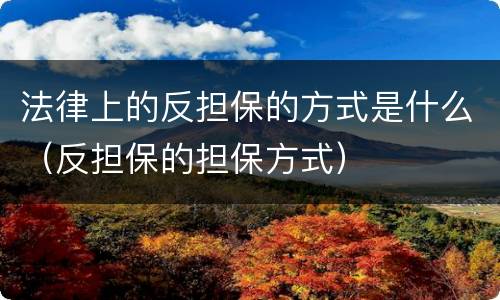 法律上的反担保的方式是什么（反担保的担保方式）