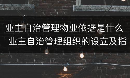 业主自治管理物业依据是什么 业主自治管理组织的设立及指导和协助有哪些规定