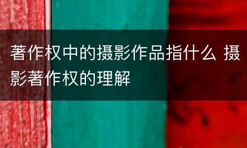 著作权中的摄影作品指什么 摄影著作权的理解