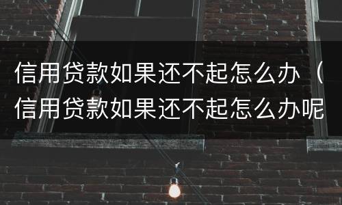 信用贷款如果还不起怎么办（信用贷款如果还不起怎么办呢）
