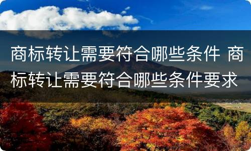 商标转让需要符合哪些条件 商标转让需要符合哪些条件要求