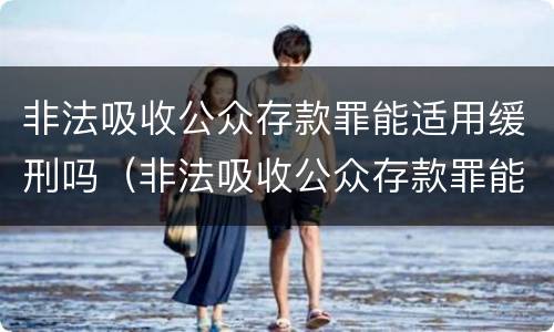 非法吸收公众存款罪能适用缓刑吗（非法吸收公众存款罪能适用缓刑吗知乎）
