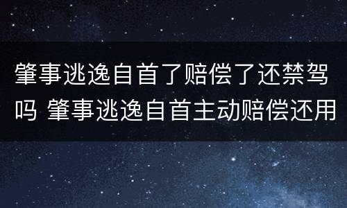 肇事逃逸自首了赔偿了还禁驾吗 肇事逃逸自首主动赔偿还用坐牢吗