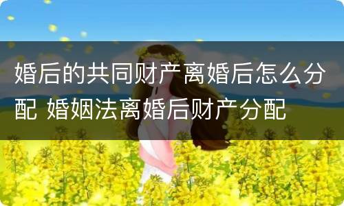 婚后的共同财产离婚后怎么分配 婚姻法离婚后财产分配